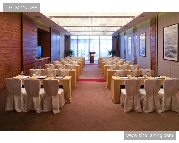 分析美高梅中國控股有限公司在中国市场的合作伙伴关系与联盟策略