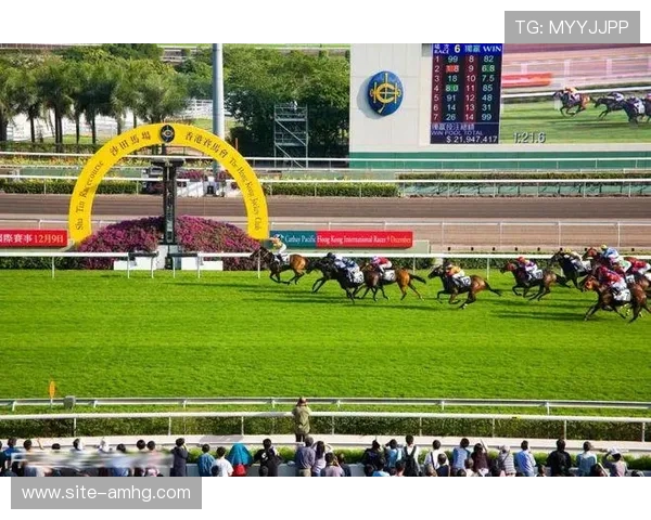 如何通过赛马会网页版安全稳定地进行线上赛马投注与娱乐体验