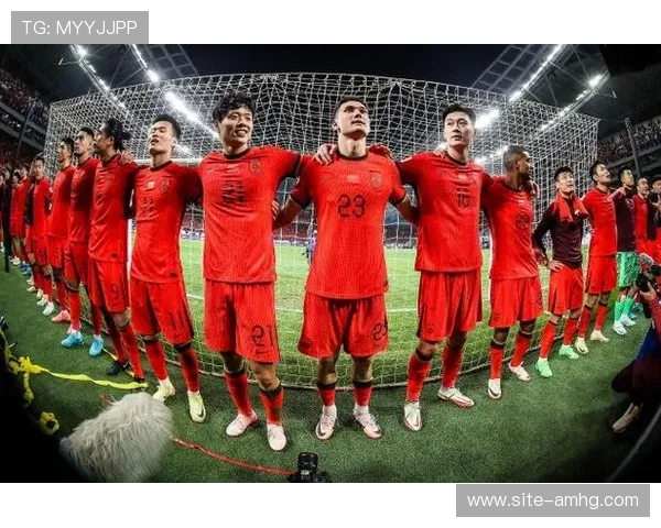2026年世界杯足球赛彩票分析：专家预测与投注技巧全攻略